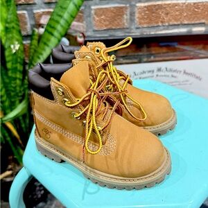Timberland Waterproof 6" Boots
Boys' Toddler size 7C